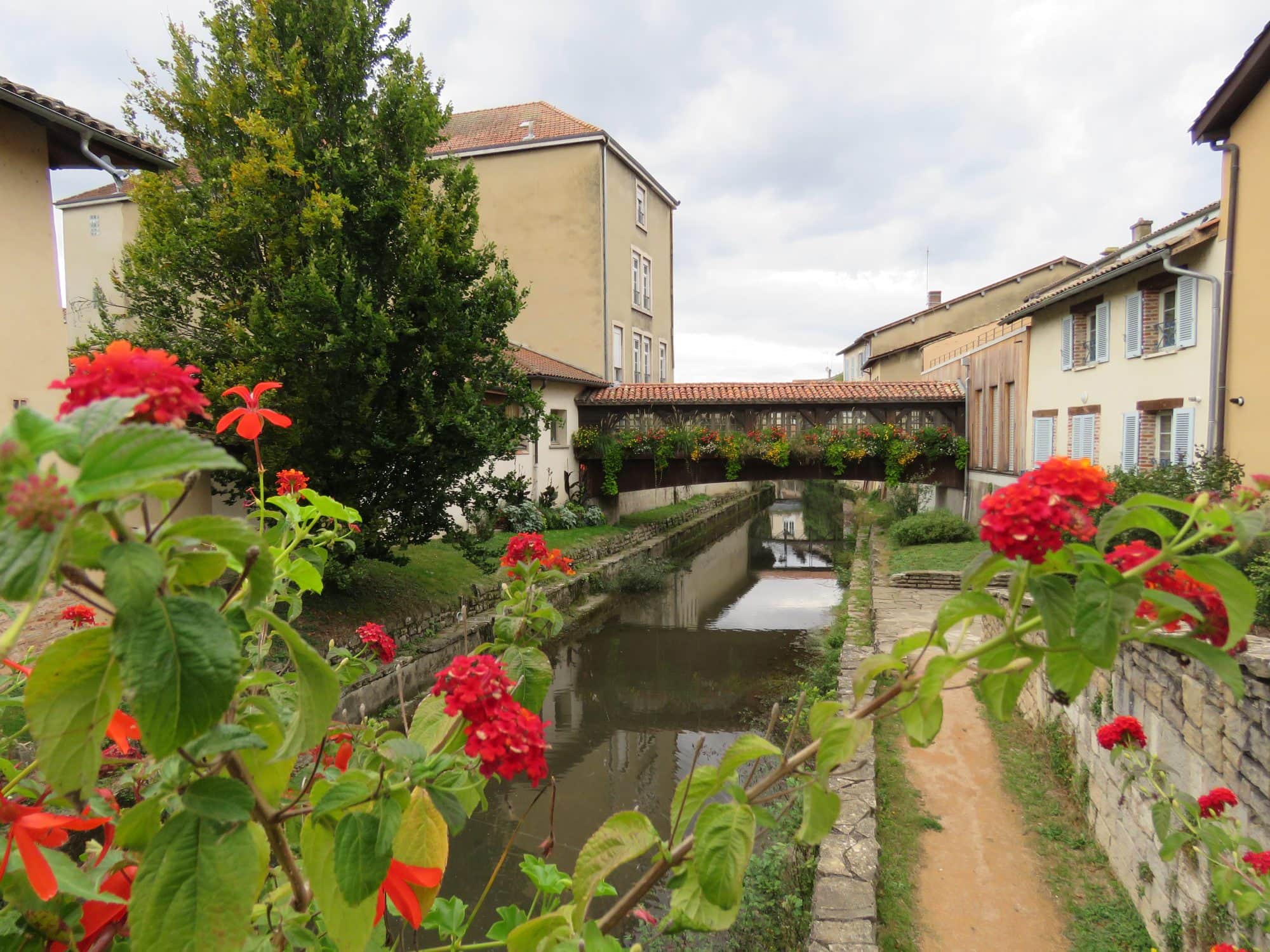 La Chalaronne à Châtillon-sur-Chalaronne